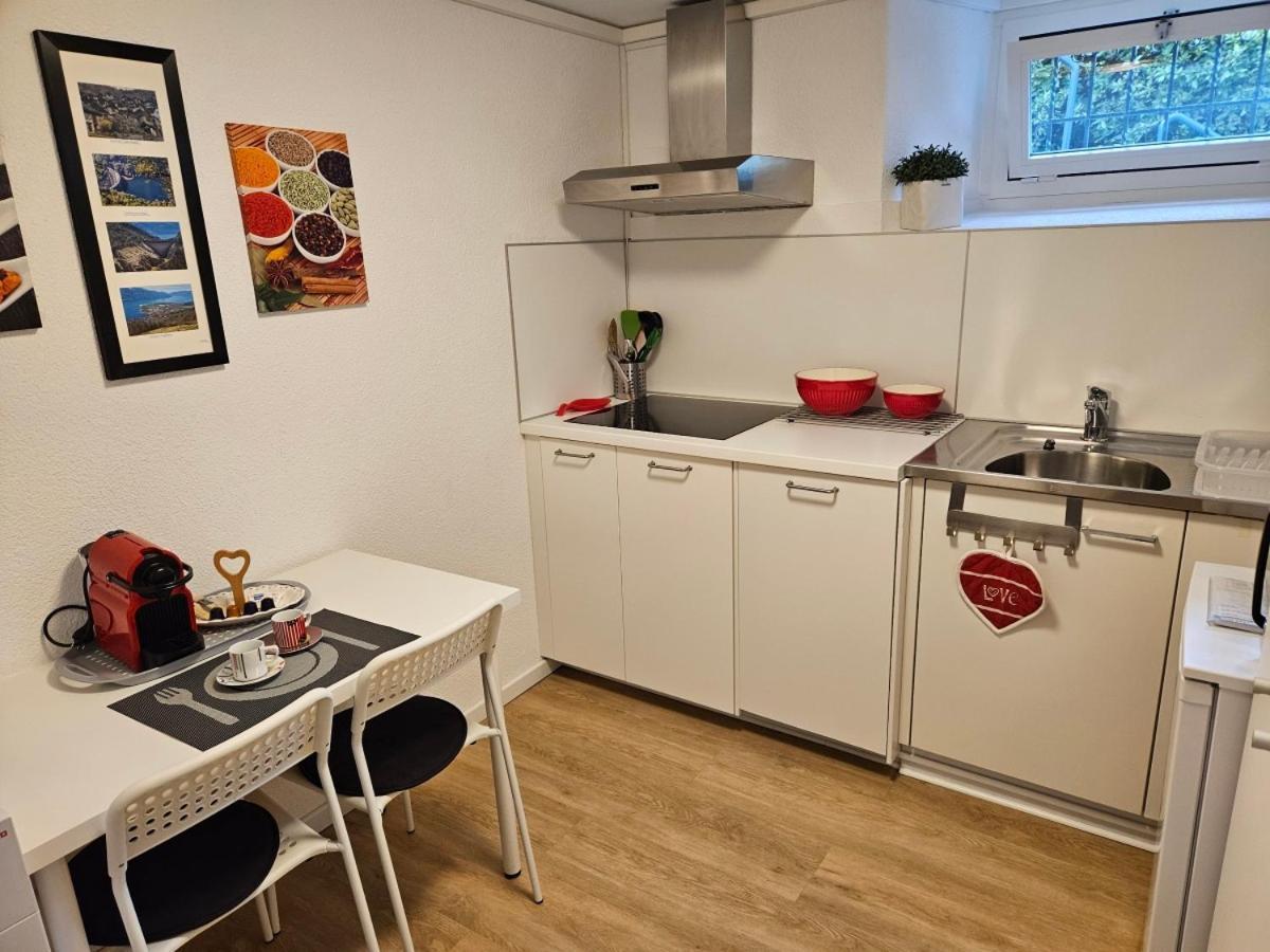 Casa Fery Apartment Tenero-Contra