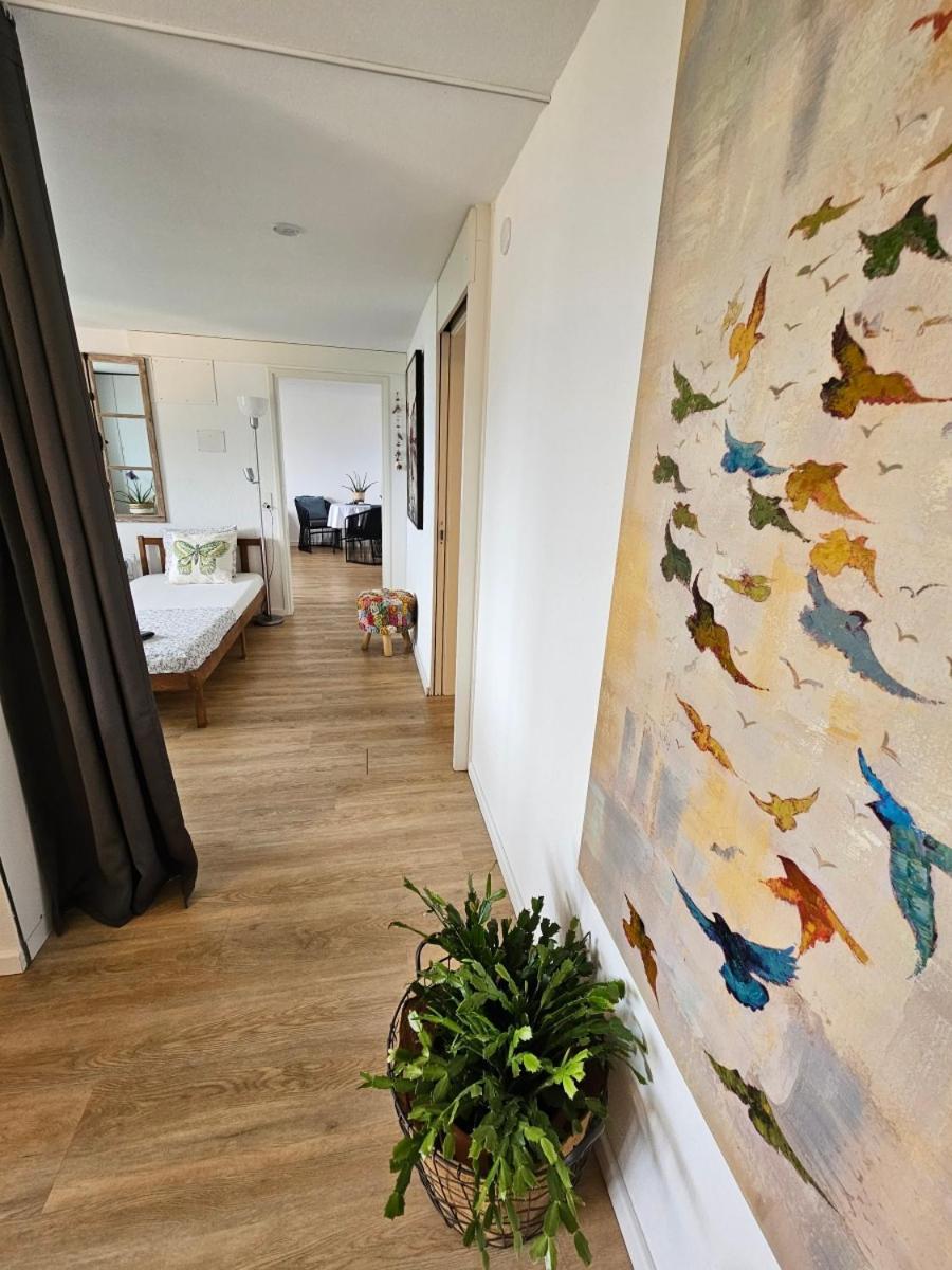 Apartment Casa Fery